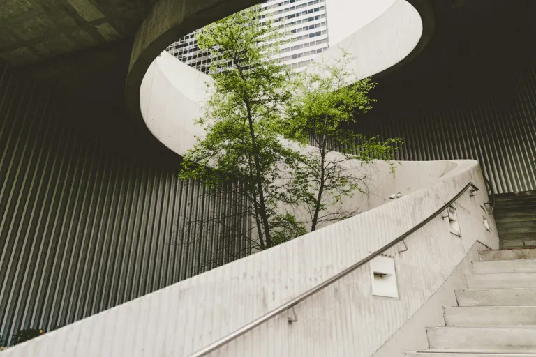 Sustainable business: Net Positive